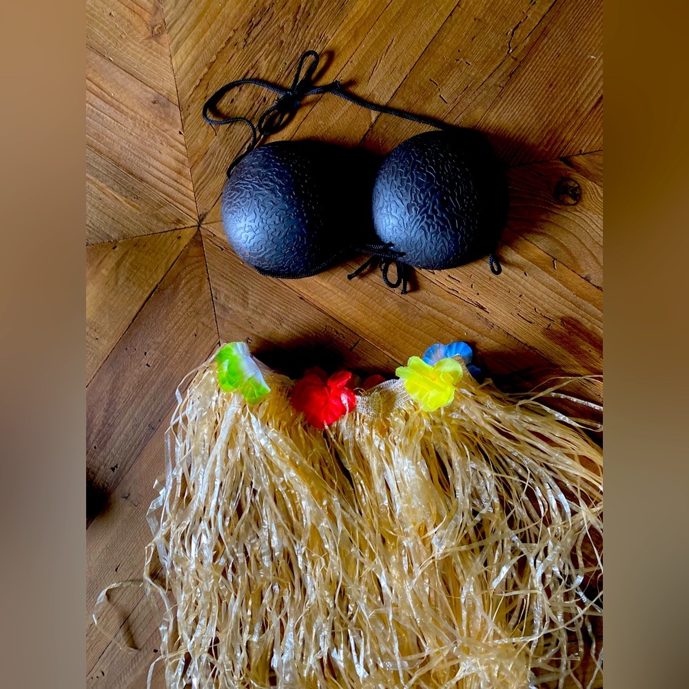 Hula girl costume Halloween